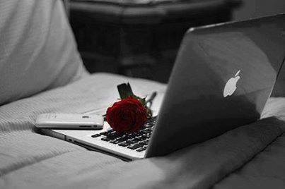 bntpal.com_142202245