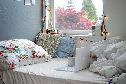  bntpal.com_142202249