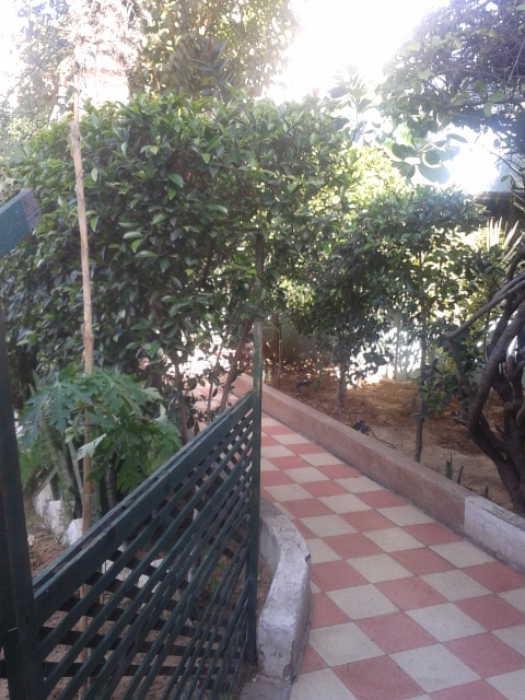  bntpal.com_142269485