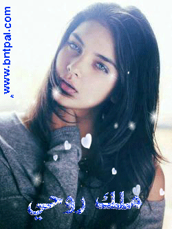  bntpal.com_142367692