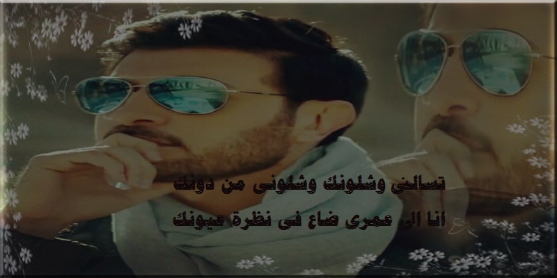 bntpal.com_142423573