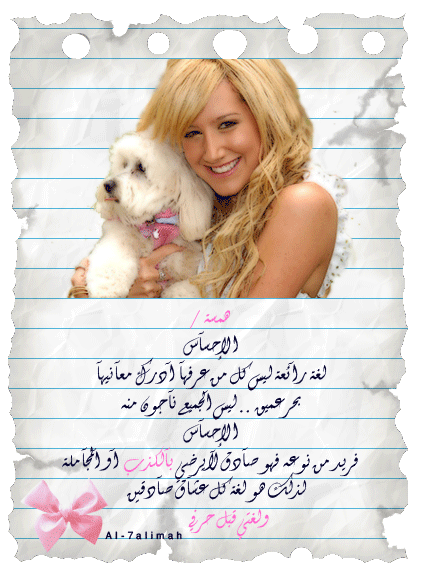 ♥ bntpal.com_142434222