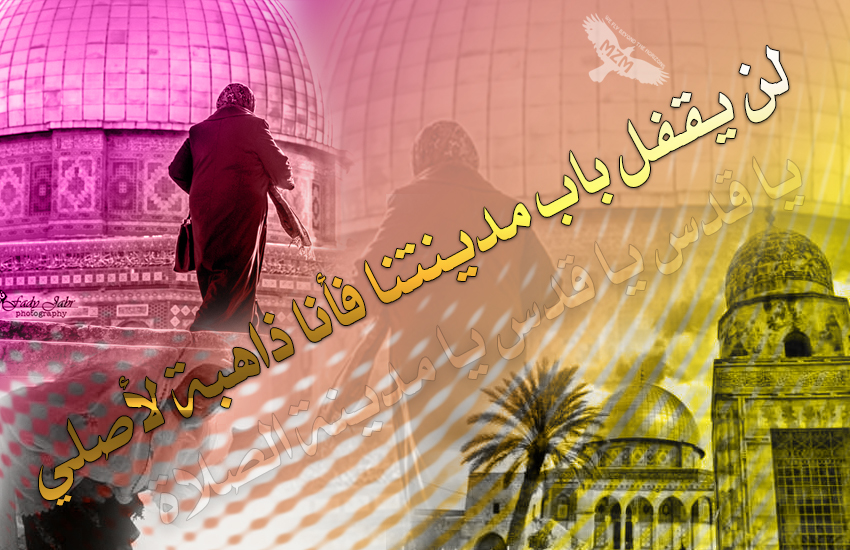 bntpal.com_142476897