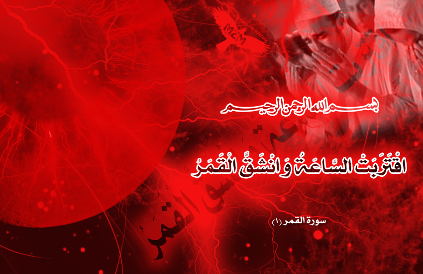 bntpal.com_142485670