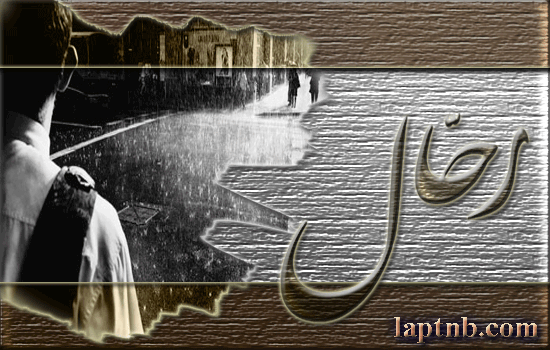 ... bntpal.com_142485992
