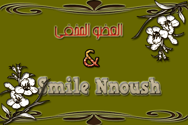 ♥ bntpal.com_142511620