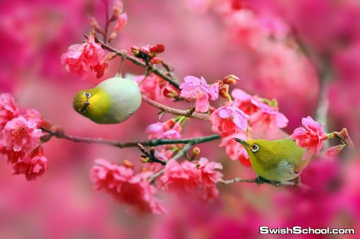 bntpal.com_142528319