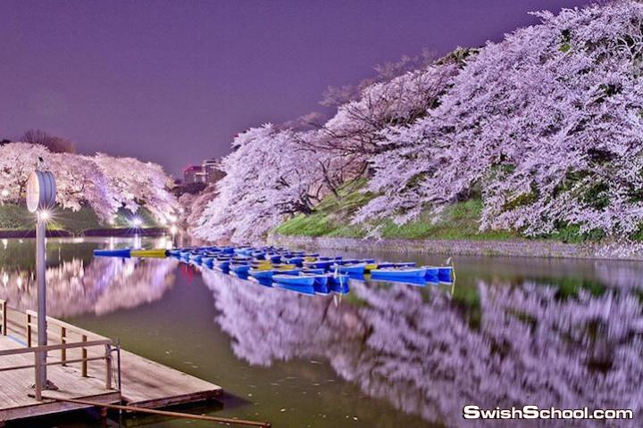 bntpal.com_142528319