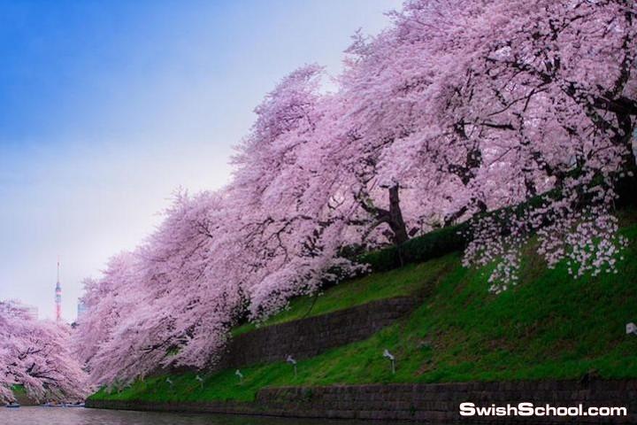 bntpal.com_142528375