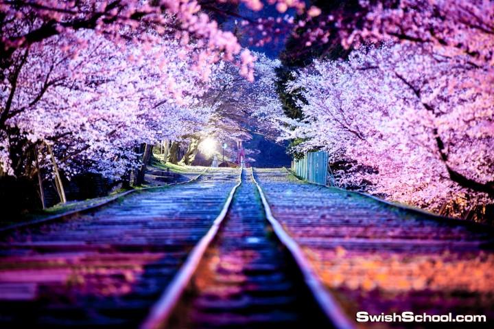 bntpal.com_142528375
