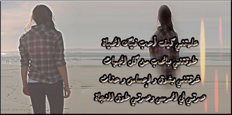bntpal.com_142538863