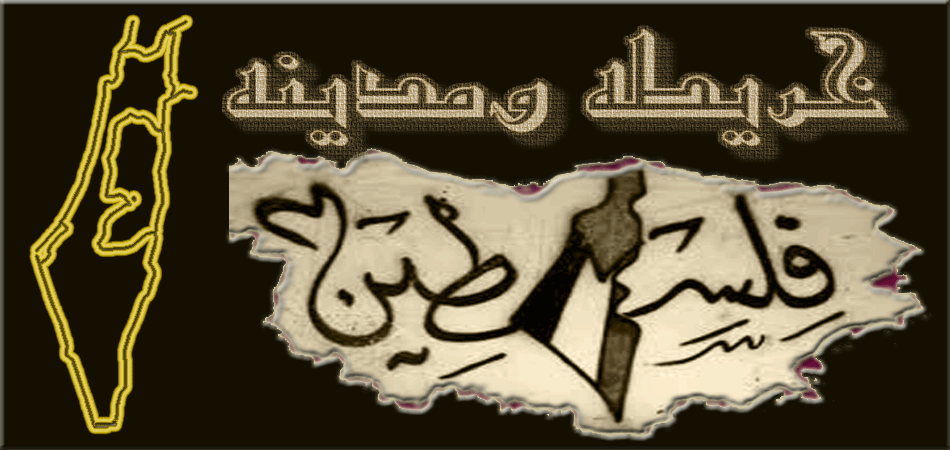 ..!! bntpal.com_142545486
