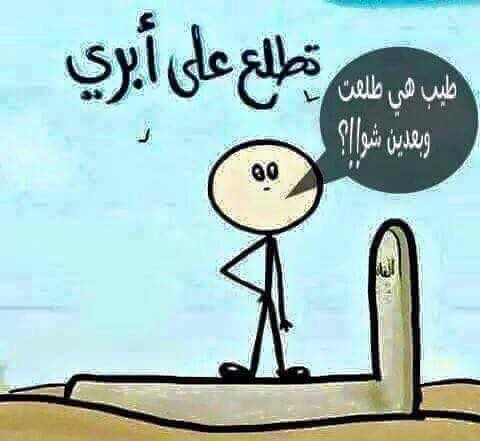 bntpal.com_142545775