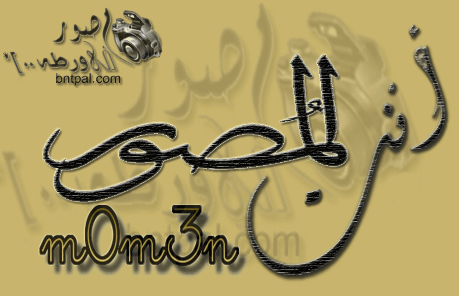 bntpal.com_142571675