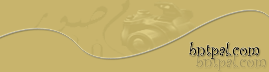 bntpal.com_142571675