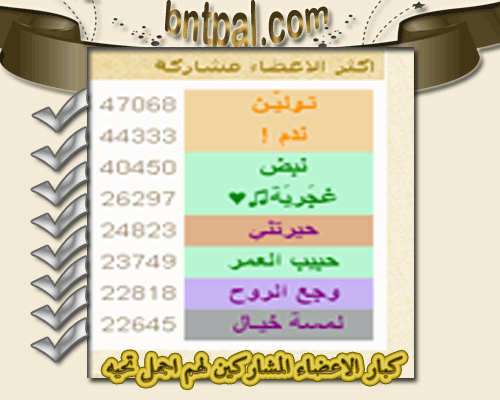 bntpal.com_142579581