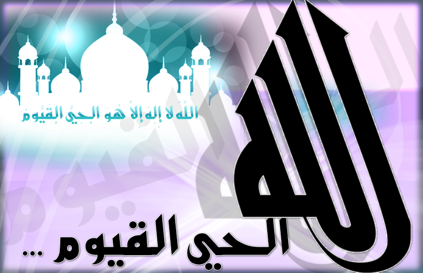 bntpal.com_142606112