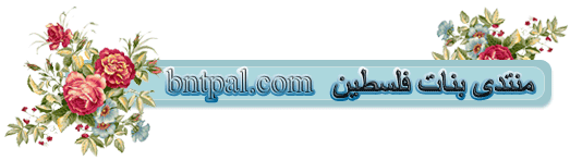 ... bntpal.com_142633512