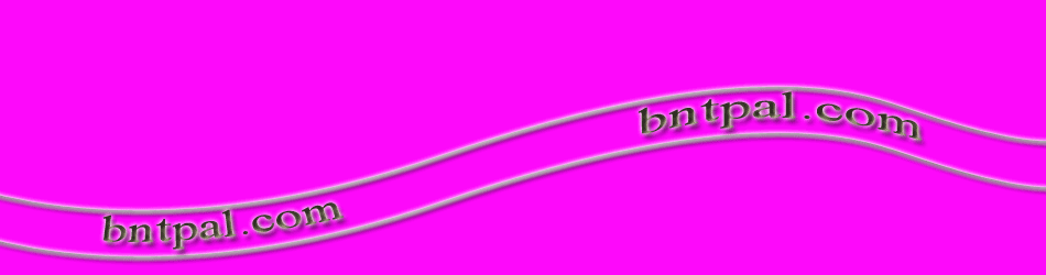 ... bntpal.com_142633512