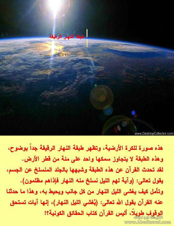 bntpal.com_142644326