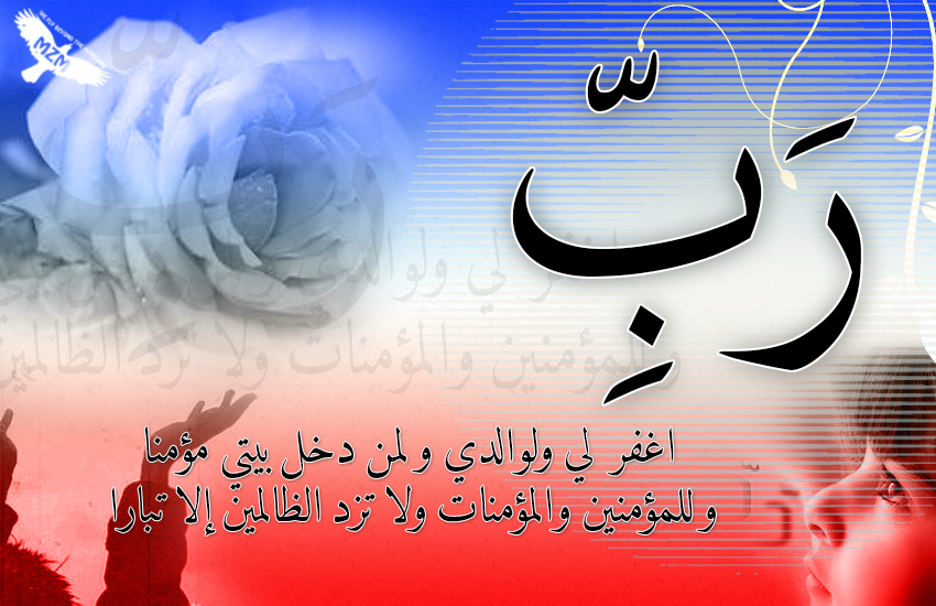 bntpal.com_142649033