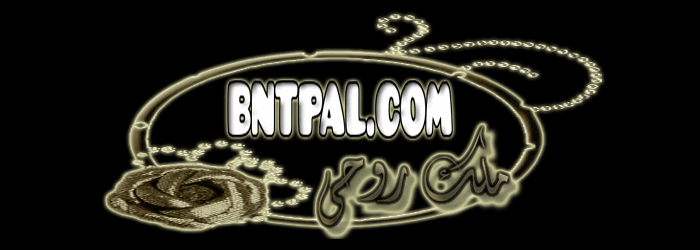  bntpal.com_142657188