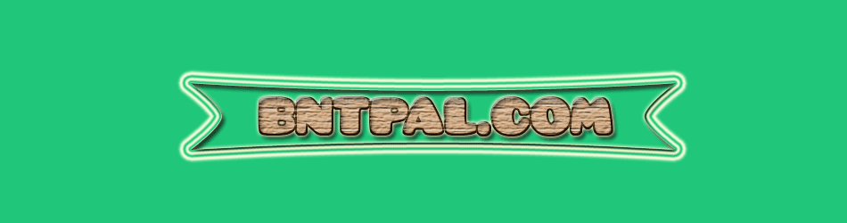 bntpal.com_142665981