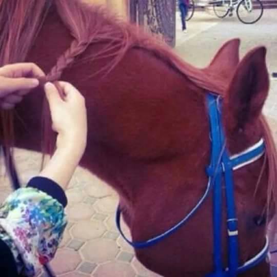  ♥ bntpal.com_142668352