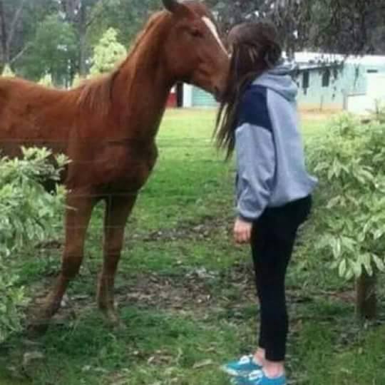  ♥ bntpal.com_142668352