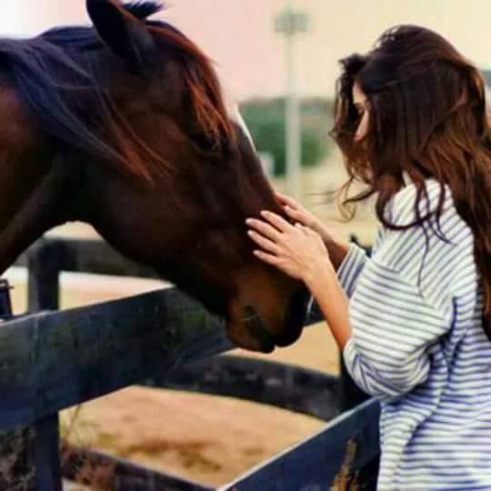  ♥ bntpal.com_142668352