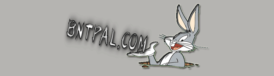 !!!! bntpal.com_142674340