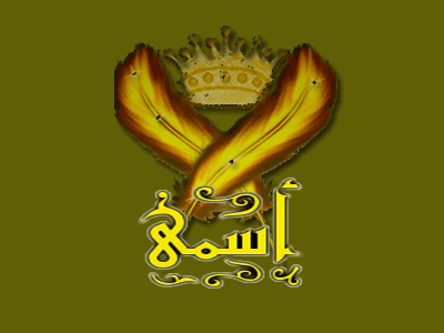 bntpal.com_142692033