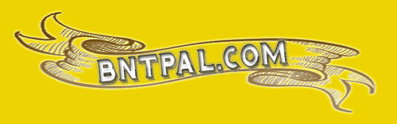 bntpal.com_142692145