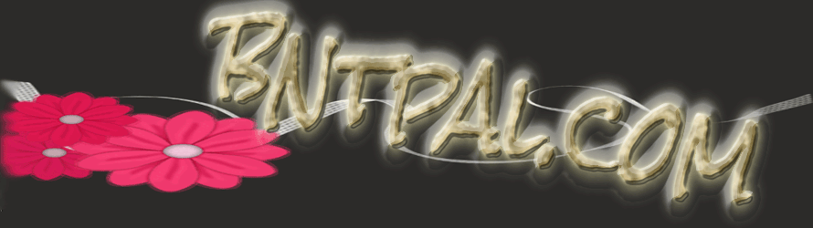 bntpal.com_142693941