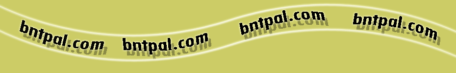 .. bntpal.com_142700515
