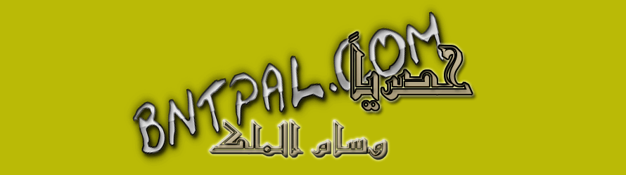 bntpal.com_142709925