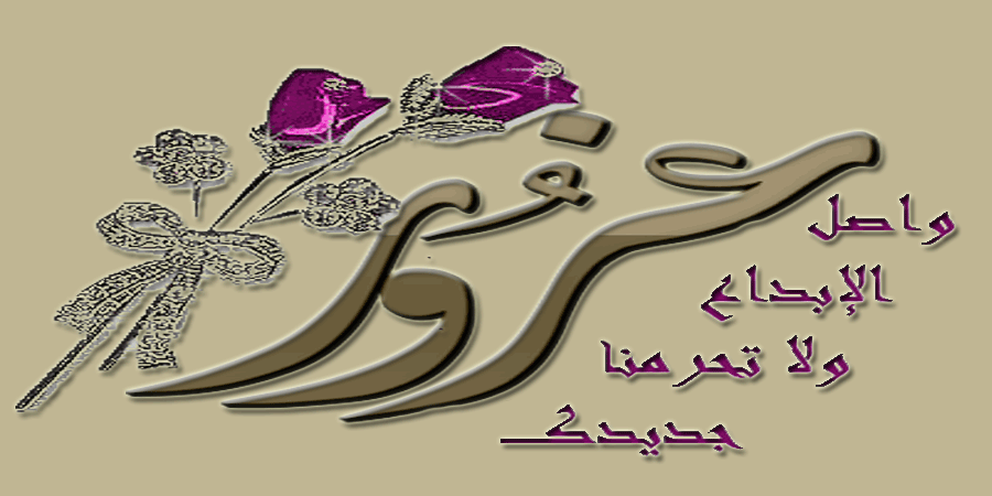  bntpal.com_142718897