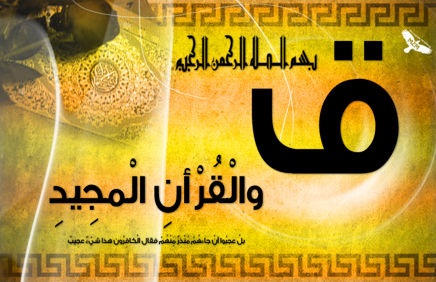 bntpal.com_142719063