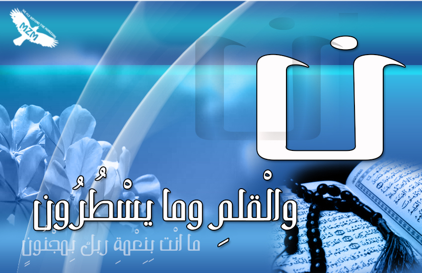 bntpal.com_142719152