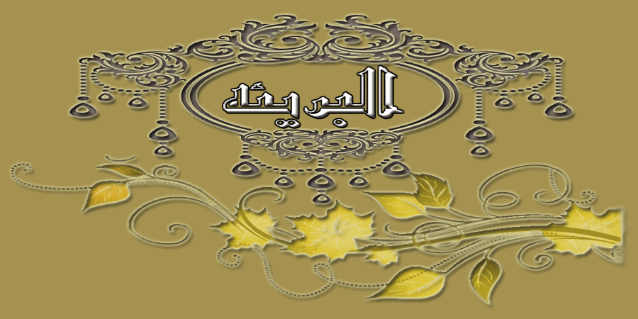   bntpal.com_142719269