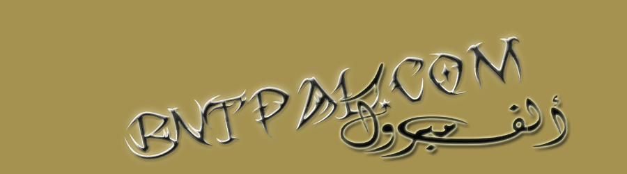   bntpal.com_142719269