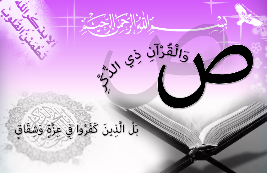 bntpal.com_142726854