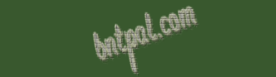 bntpal.com_142761573