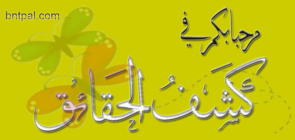  bntpal.com_142762712