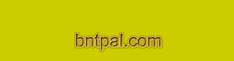  bntpal.com_142762712