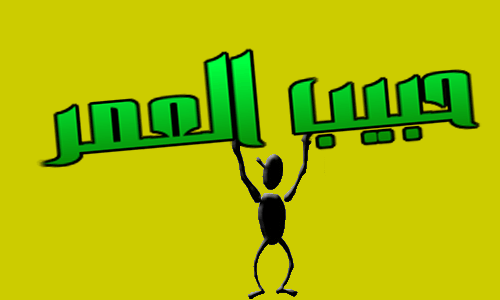  bntpal.com_142762760