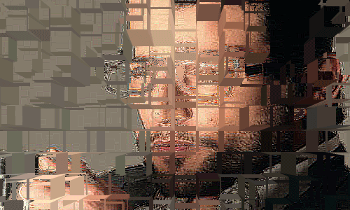 bntpal.com_142769771