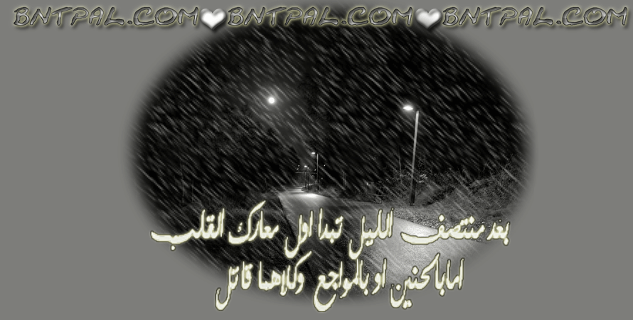 ...! bntpal.com_142770124