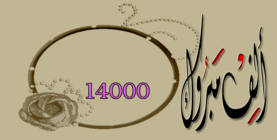 14000 bntpal.com_142787616