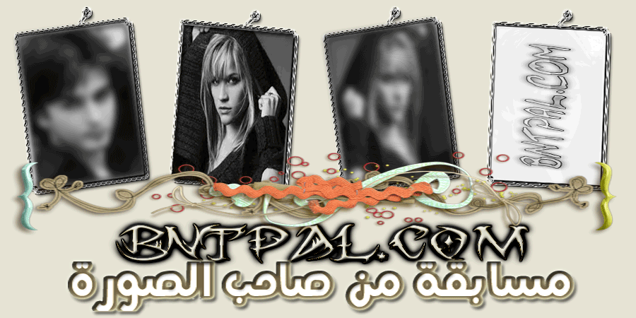 bntpal.com_142788991